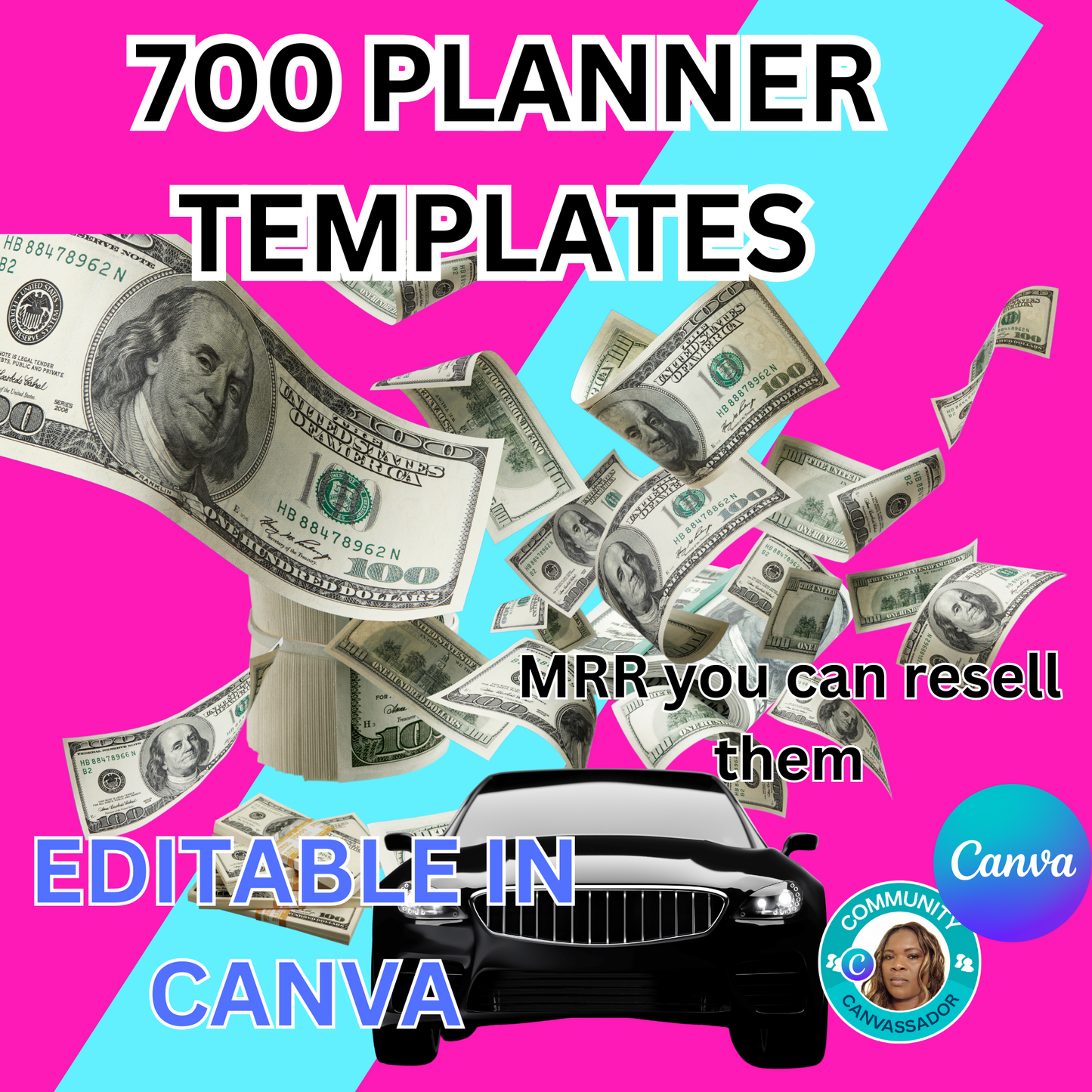 700+ Done For You PLR MRR Digital Products Bundle Passive Income Marketing Guide Ebook digital planners Master Resell Rights DFY